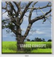 /album/photo-gallery-canvas-uri/decoratiuni-de-perete-canvas-lc-0604-jpg/